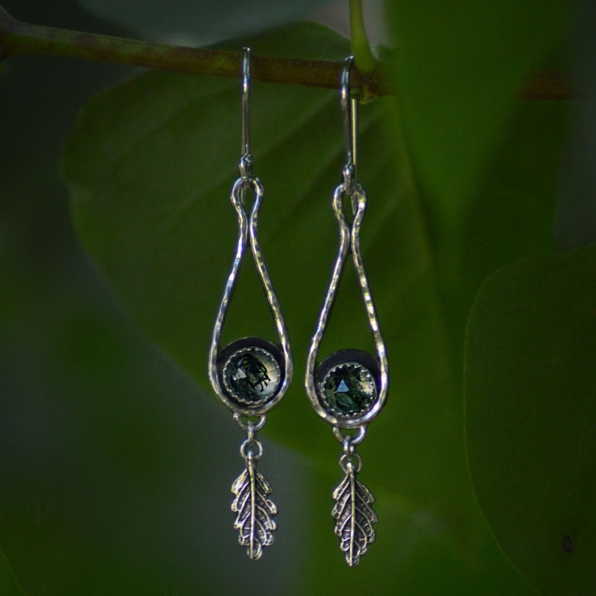 Old-Growth Earrings