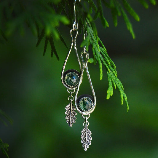 Old-Growth Earrings
